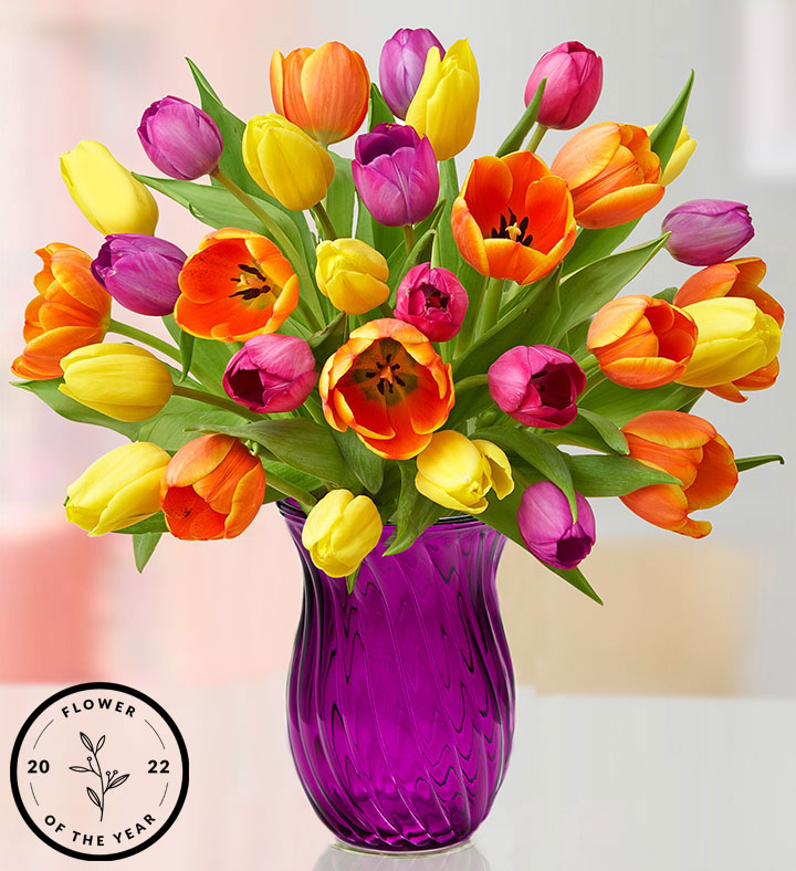 Pink, orange, and yellow tulips in a purple vase