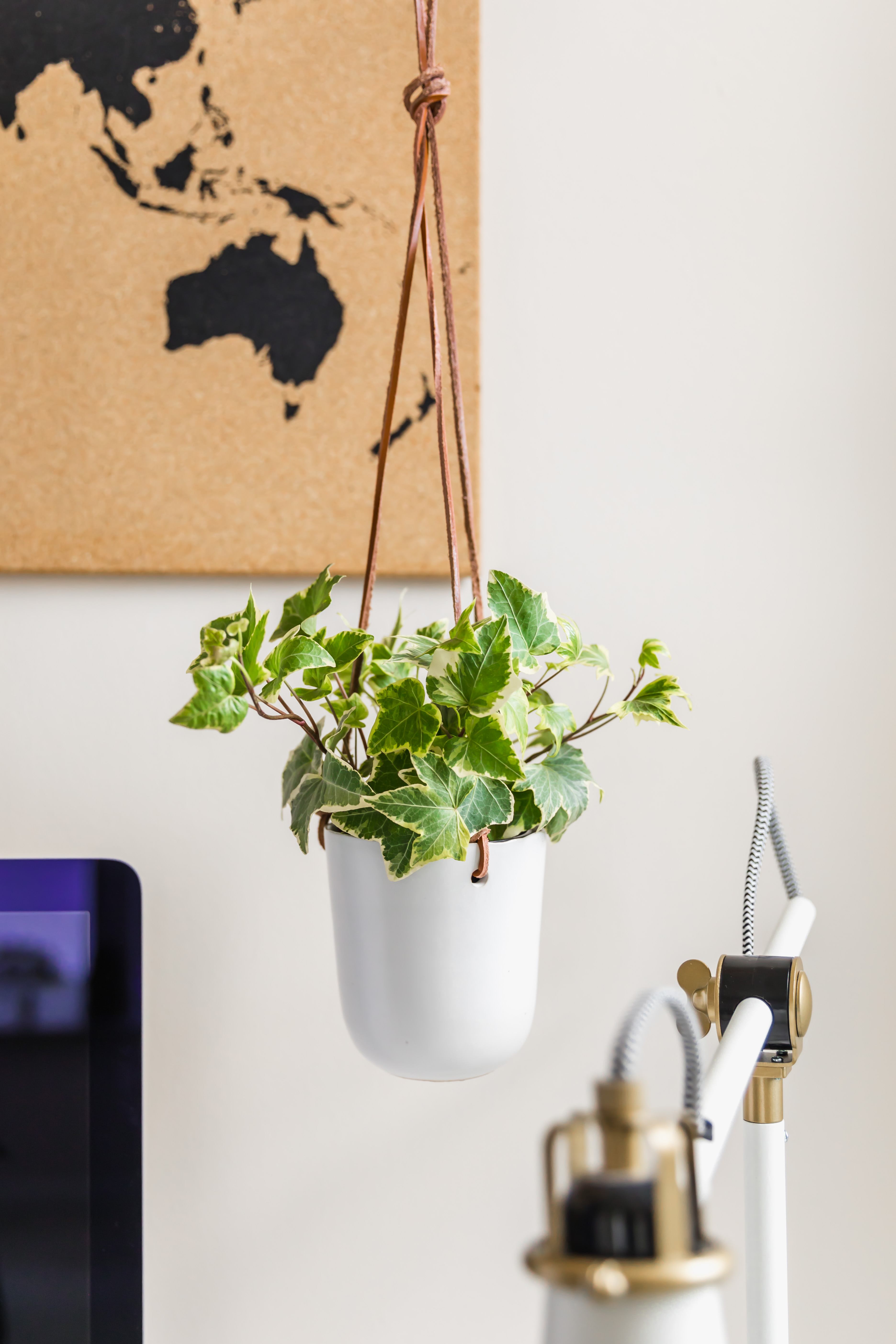 The 1-800-Flowers.com English Ivy in a white hanging planter over a white lamp, computer, and corkboard