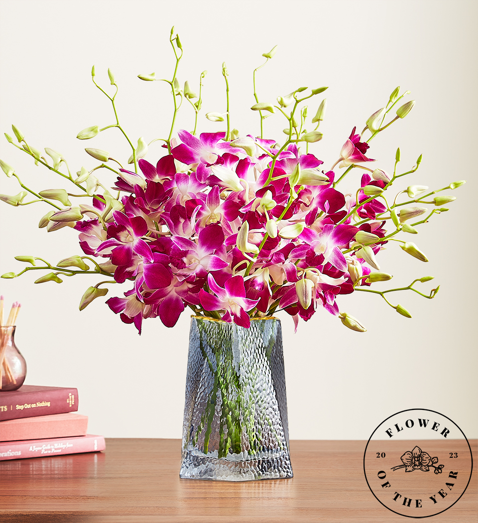 1-800-Flowers.com Exotic Breeze Orchids