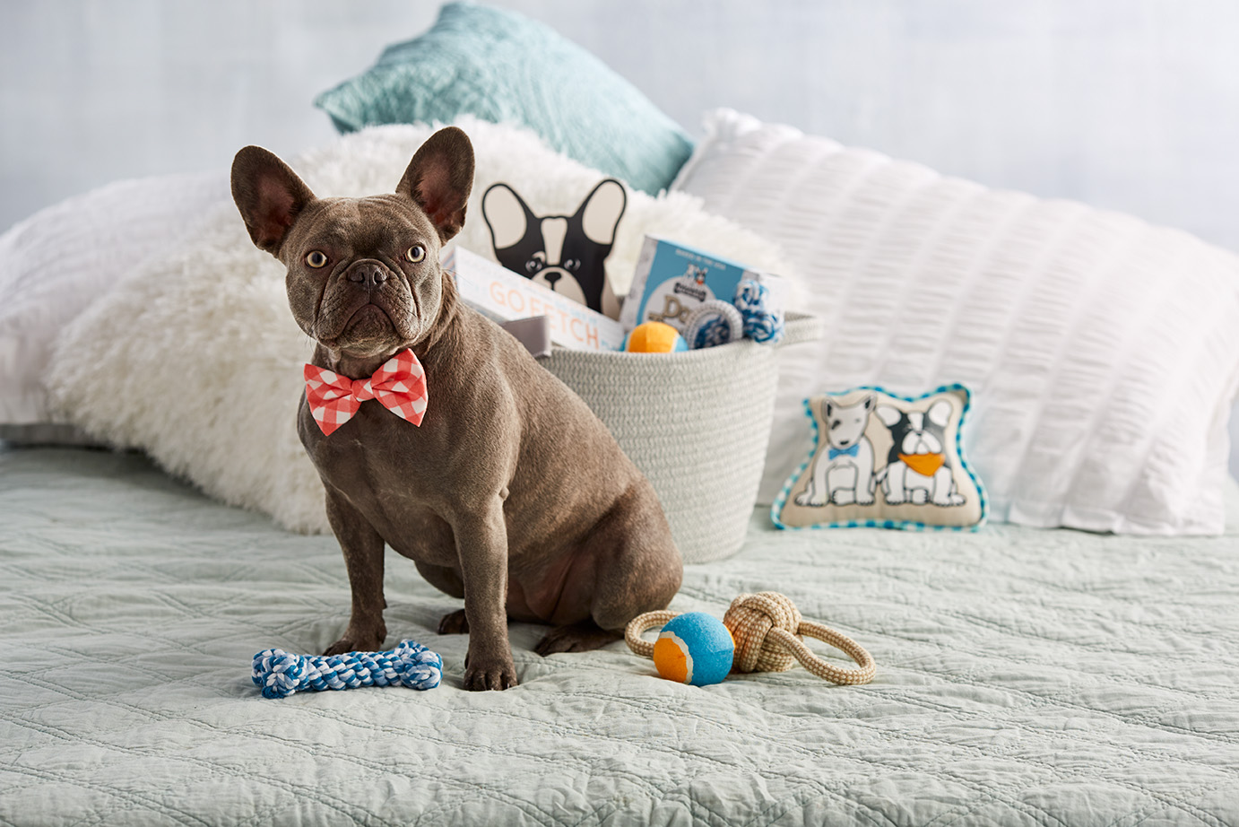 A dog with a bow tie next to dog toys from the Max and Milo Dapper Dog Rope Basket, with the basket full of other dog toys in the background