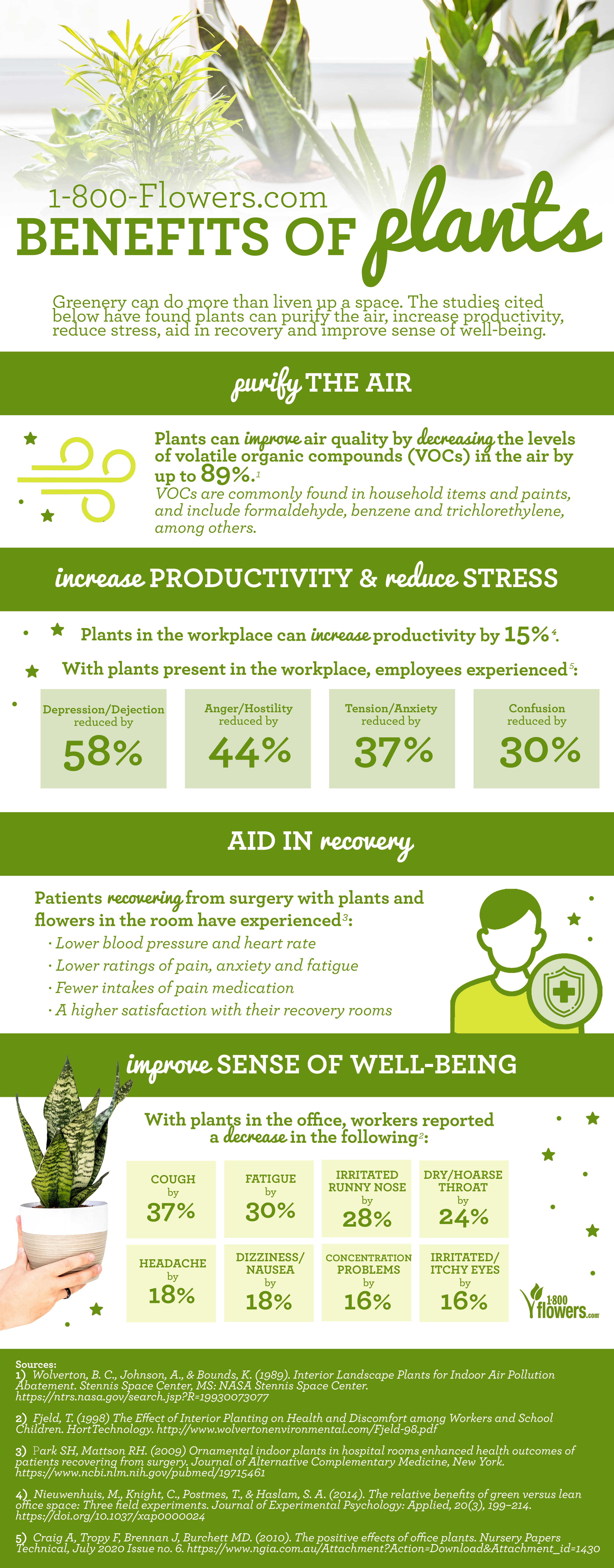 The 1-800-Flowers.com Benefits of Plants fact sheet with fun facts about plants