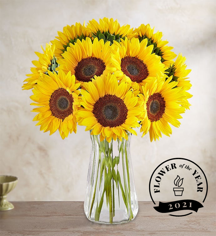 Sunflower Bouquet 2021 Flower of the Year Inc.