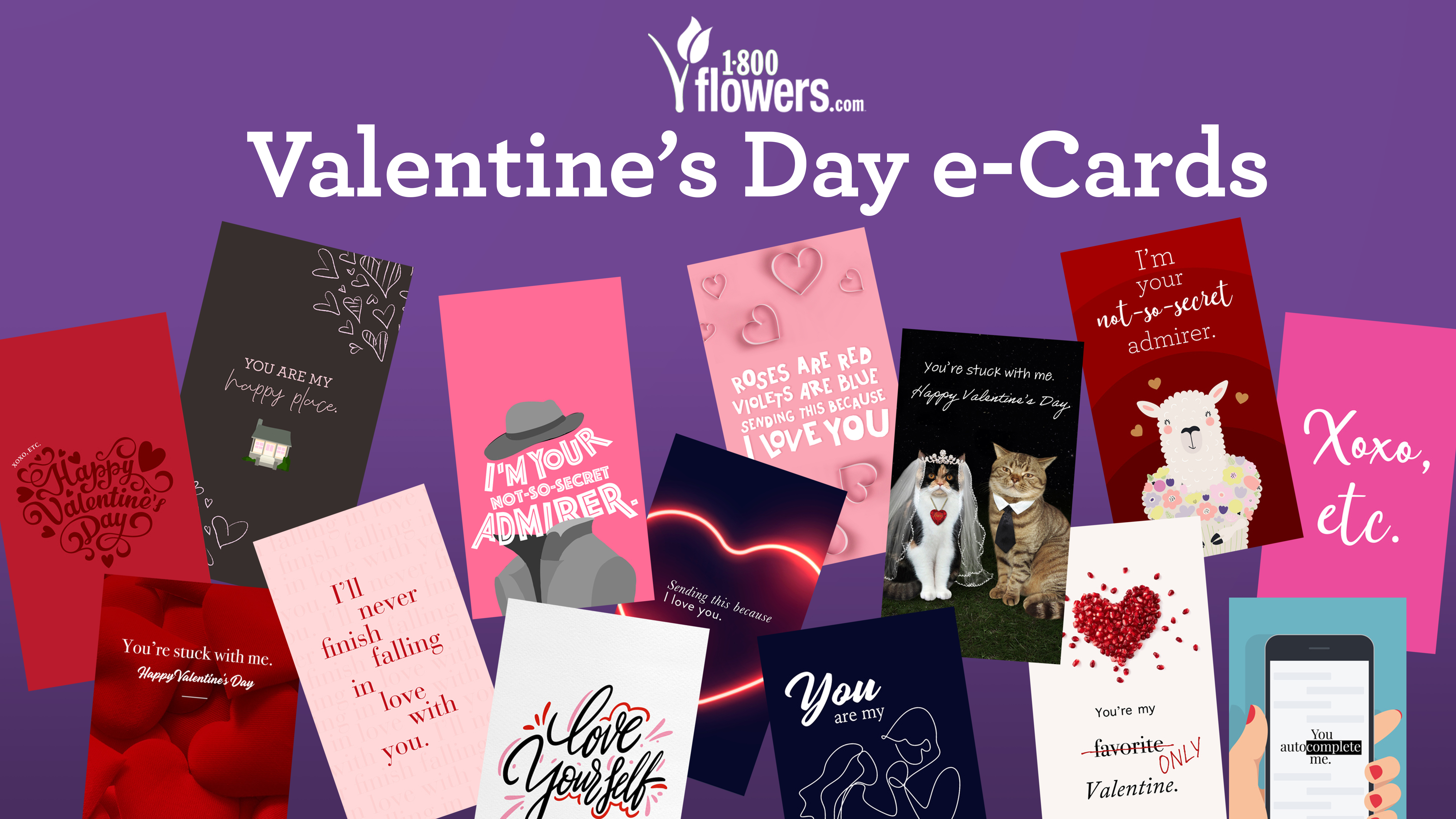 A display of themed 1-800-Flowers.com Complimentary Valentine e-Cards on a purple background