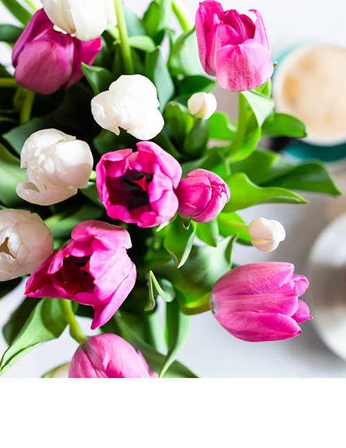 picture of Mother’s Day 2020 Look Book