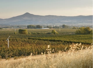 An open field with thin, tall, white weather stations and mountains in the background