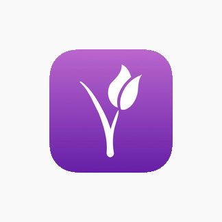 2011 App Icon