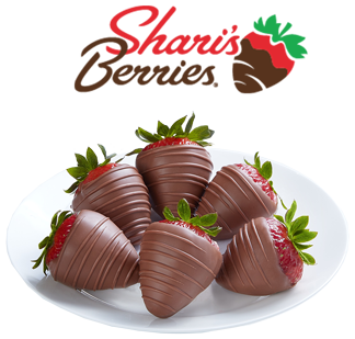 2019 Sharis Mockup
